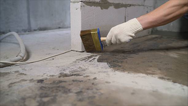 Top rated local Basement Waterproofing specialists in Evensville, TN